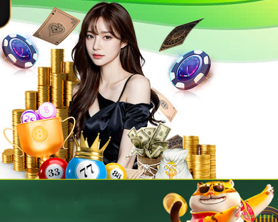 Performance betpontobet